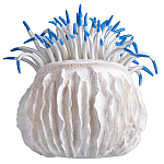 Статуэтка тропический фрукт Tropical Fruit White Blue варинант исполнения - 3 | Loft Concept в Екатеринбурге