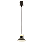 Подвесной светильник Celevis Black варинант исполнения - 2 | Loft Concept в Екатеринбурге