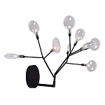 Бра в виде ветвей с прозрачными круглыми плафонами Moooi варинант исполнения - 2 | Loft Concept в Екатеринбурге