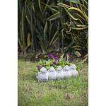 Кашпо Canaries варинант исполнения - 6 | Loft Concept в Екатеринбурге