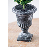 Декоративный искусственное растение Double boxwood варинант исполнения - 7 | Loft Concept в Екатеринбурге