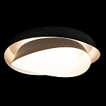 Потолочный светильник круглый черного цвета из металла Vita Cuna варинант исполнения - 1 | Loft Concept в Екатеринбурге