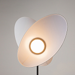 Напольный светильник Evolution 3000К 12Вт варинант исполнения - 5 | Loft Concept в Екатеринбурге