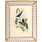 Постер с изображением птиц и цветов в зеркальной раме Blooming Birds Poster варинант исполнения - 5 | Loft Concept в Екатеринбурге