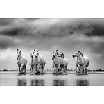 Книга Beusker. Look into my Eyes варинант исполнения - 4 | Loft Concept в Екатеринбурге