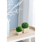 Декоративный искусственное растение Square boxwood варинант исполнения - 5 | Loft Concept в Екатеринбурге