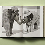 Книга в подарок творческий путь Брюса Вебера Bruce Weber. My Education варинант исполнения - 6 | Loft Concept в Екатеринбурге