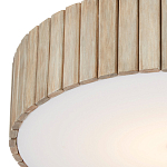 Потолочный светильник круглый светодиодный Contrasting Elements варинант исполнения - 1 | Loft Concept в Екатеринбурге