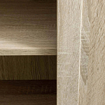 Шкаф Rebellious love варинант исполнения - 7 | Loft Concept в Екатеринбурге