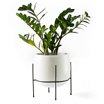 Кашпо из керамики Elevated Planters 32 варинант исполнения - 11 | Loft Concept в Екатеринбурге