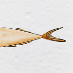 Плитка с узором Рыба Русалка варинант исполнения - 6 | Loft Concept в Екатеринбурге