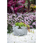 Кашпо A collection of baby rabbits варинант исполнения - 9 | Loft Concept в Екатеринбурге