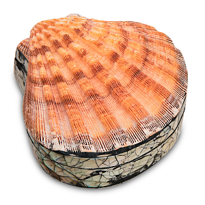 Шкатулка Shell Box II