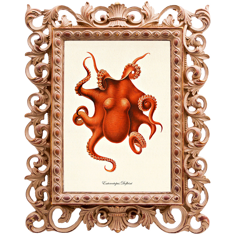 Постер Red Octopus Poster Бежевый Красный в Екатеринбурге | Loft Concept 