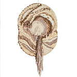 Овальный Современный Гобелен Абстракция в бежевых тонах Shallow варинант исполнения - 7 | Loft Concept в Екатеринбурге