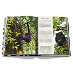 Подарочнный коллекционный фото альбом AFRICAN ADVENTURES NEW 2023 ASSOULINE HC UNBELIEVABLE ILLUSTRATIONS Safari варинант исполнения - 8 | Loft Concept в Екатеринбурге