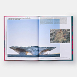 Radical Architecture of the Future варинант исполнения - 4 | Loft Concept в Екатеринбурге