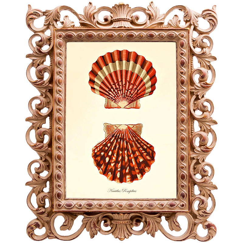 Постер Red Scallop Poster Бежевый Красный в Екатеринбурге | Loft Concept 