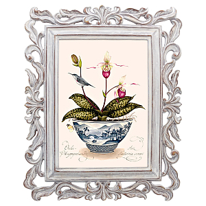 Постер Gray Hummingbird Poster