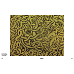 Редкое подарочное издание Yayoi Kusama: 1945 to Now варинант исполнения - 7 | Loft Concept в Екатеринбурге