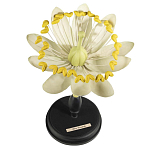 Статуэтка Tilia варинант исполнения - 1 | Loft Concept в Екатеринбурге