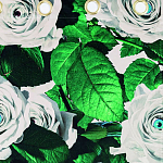 Штора Seletti Roses варинант исполнения - 1 | Loft Concept в Екатеринбурге