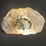 Бра Декоративный лист с стрекозой Glacial Fragment варинант исполнения - 2 | Loft Concept в Екатеринбурге