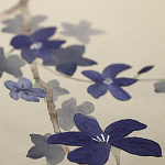 Обои ручная роспись Cherry Tree Original colourway on Stone Ochre dyed silk варинант исполнения - 3 | Loft Concept в Екатеринбурге