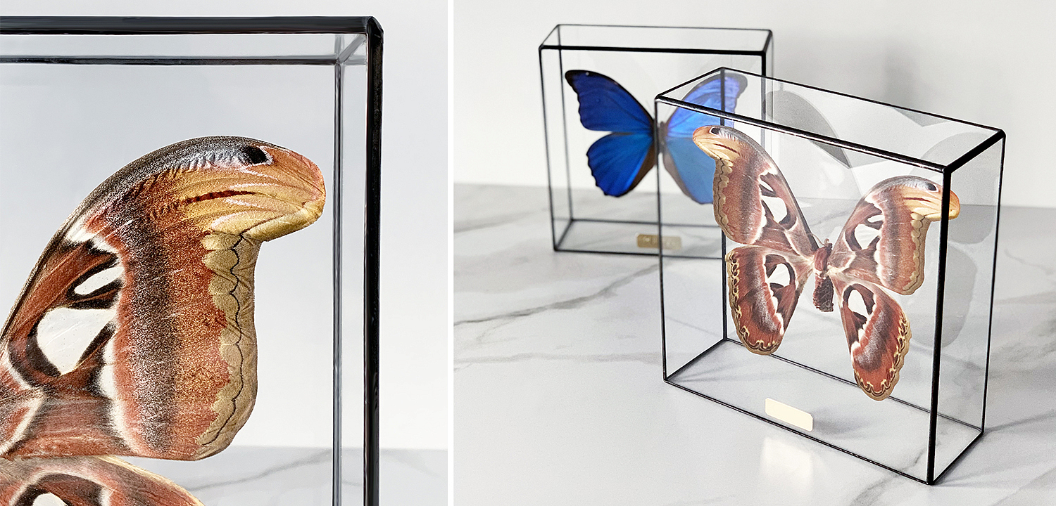 Статуэтка Butterfly Atlas Glass Box Статуэтка Butterfly Atlas Glass Box - Loft-Concept в Екатеринбурге