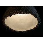 Светильник Acus варинант исполнения - 3 | Loft Concept в Екатеринбурге