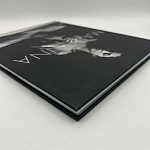 Коллекционная редкая книга Madonna: Nudes + by Martin H.M. Schreiber 2017 Букинистика варинант исполнения - 4 | Loft Concept в Екатеринбурге