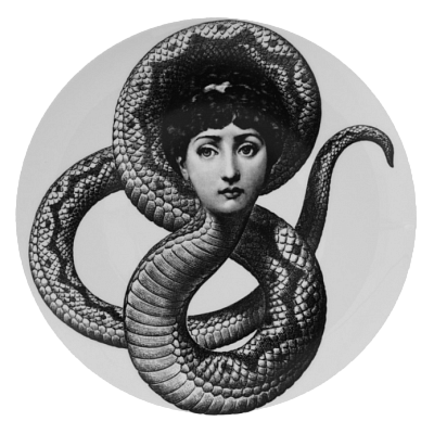 Декоративная тарелка Fornasetti 198 Декоративная тарелка Fornasetti 198