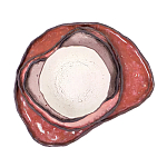 Сет из 4-х тарелок «QARTZITE» варинант исполнения - 5 | Loft Concept в Екатеринбурге