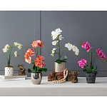 Декоративный искусственное растение Pink orchid варинант исполнения - 11 | Loft Concept в Екатеринбурге