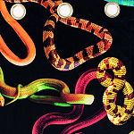 Штора Seletti Snakes Black варинант исполнения - 1 | Loft Concept в Екатеринбурге