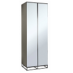 Двухдверный шкаф с зеркальными дверцами Strict Lines варинант исполнения - 1 | Loft Concept в Екатеринбурге