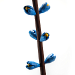 Синий экзотический фрукт статуэтка для интерьераTropical Fruit Pandora 9 варинант исполнения - 2 | Loft Concept в Екатеринбурге