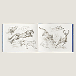 Лимитированная подарочная книга HERMES Fierce and Fragile book, English version варинант исполнения - 4 | Loft Concept в Екатеринбурге