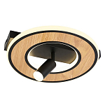 Потолочный светильник круглый GAVIN WOOD варинант исполнения - 1 | Loft Concept в Екатеринбурге