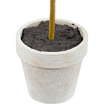 Декоративный искусственное растение Boxwood One варинант исполнения - 3 | Loft Concept в Екатеринбурге