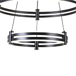 Люстра светодиодная с 2-мя плафонами в форме колец из акрила и алюминия с пультом для регулировки света Ring Horizontal Black варинант исполнения - 2 | Loft Concept в Екатеринбурге