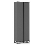 Двухдверный шкаф цвета графит Strict Lines варинант исполнения - 1 | Loft Concept в Екатеринбурге