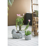 Кашпо A collection of baby rabbits варинант исполнения - 4 | Loft Concept в Екатеринбурге