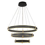 Люстра светодиодная с 3-мя плафонами в форме колец из акрила и алюминия с пультом для регулировки света Ring Horizontal Anthracite варинант исполнения - 1 | Loft Concept в Екатеринбурге