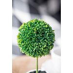 Декоративный искусственное растение Boxwood One варинант исполнения - 8 | Loft Concept в Екатеринбурге