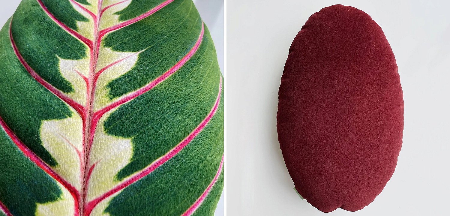 Декоративная подушка Botanical Cushion Maranta Trikolor Декоративная подушка Botanical Cushion Maranta Trikolor - Loft-Concept в Екатеринбурге