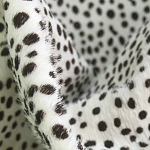 Мебельная ткань Искусственный мех  белый леопард 90 см T5-3 варинант исполнения - 1 | Loft Concept в Екатеринбурге