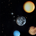 Блюдо Seletti Sun варинант исполнения - 6 | Loft Concept в Екатеринбурге