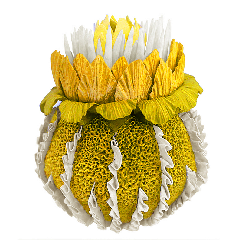 Желтый Экзотический фрукт Yellow Pandora Exotic Fruit 44 Желтый Желтый Экзотический фрукт Yellow Pandora Exotic Fruit 44 Желтый в Екатеринбурге | Loft Concept