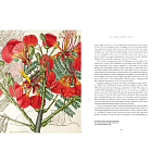 Прекрасно иллюстрированная книга более 100 ботанических произведений Plant Hunters Atlas варинант исполнения - 5 | Loft Concept в Екатеринбурге
